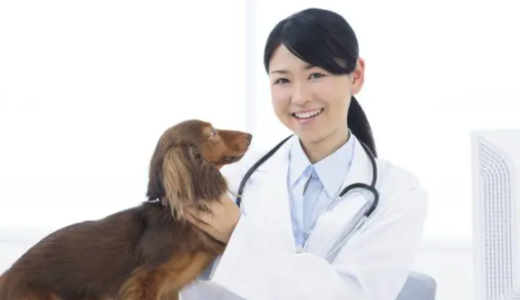 獣医師の仕事内容・年収・資格などを徹底解説